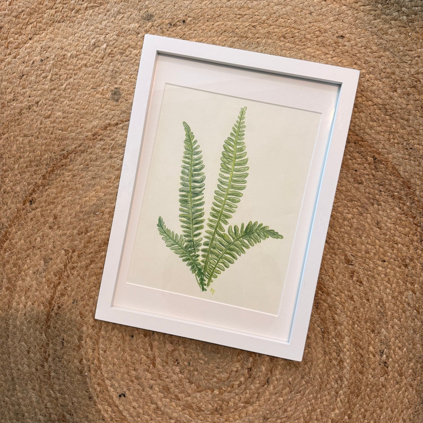 fern no 2 [original sketch]