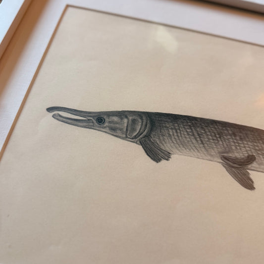 gar [original sketch]