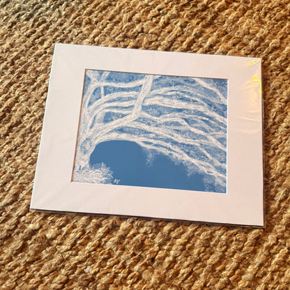 blue oak  ·  print