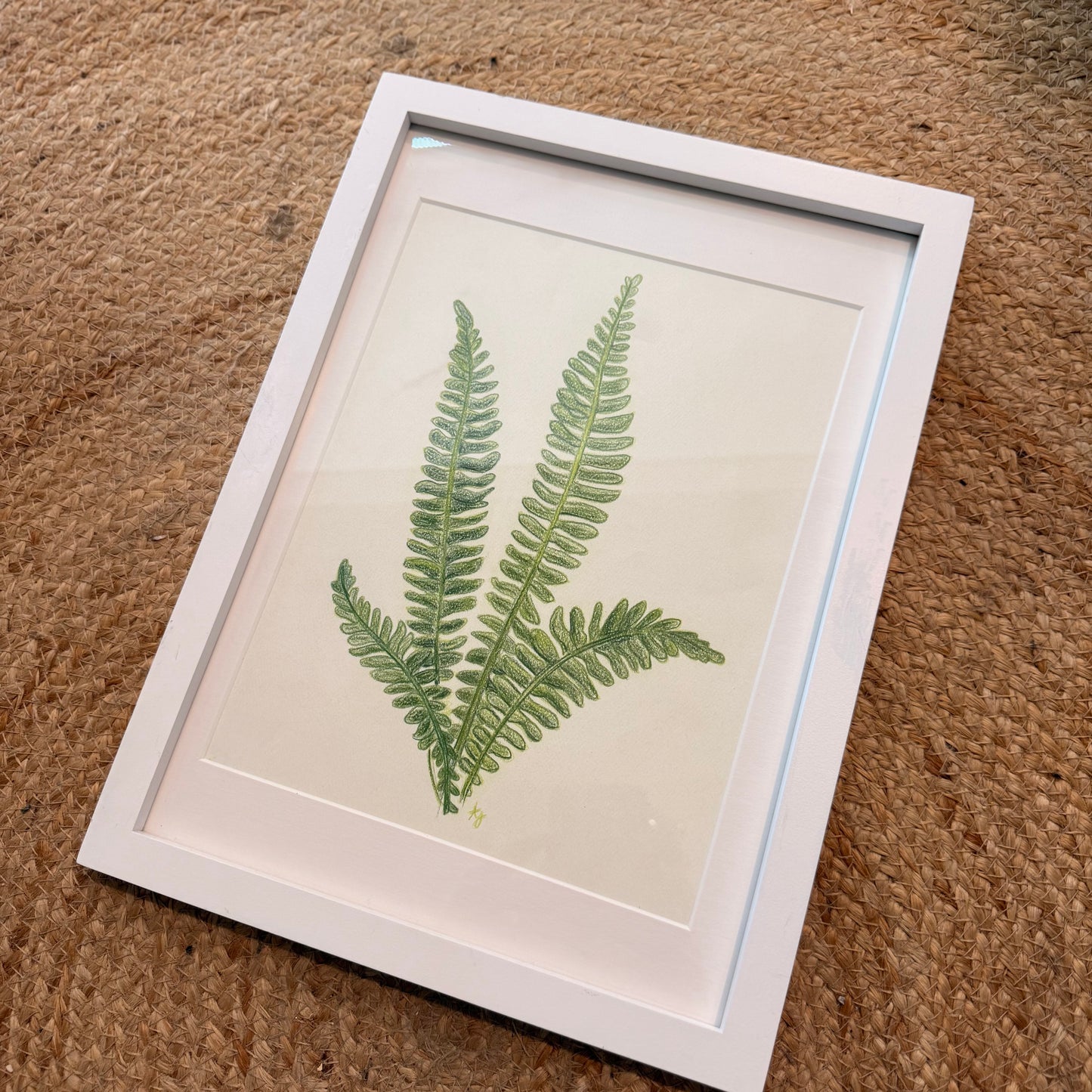 fern no 2 [original sketch]