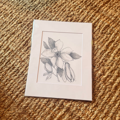 magnolia ·  print