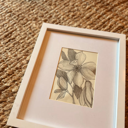 magnolia [original sketch]