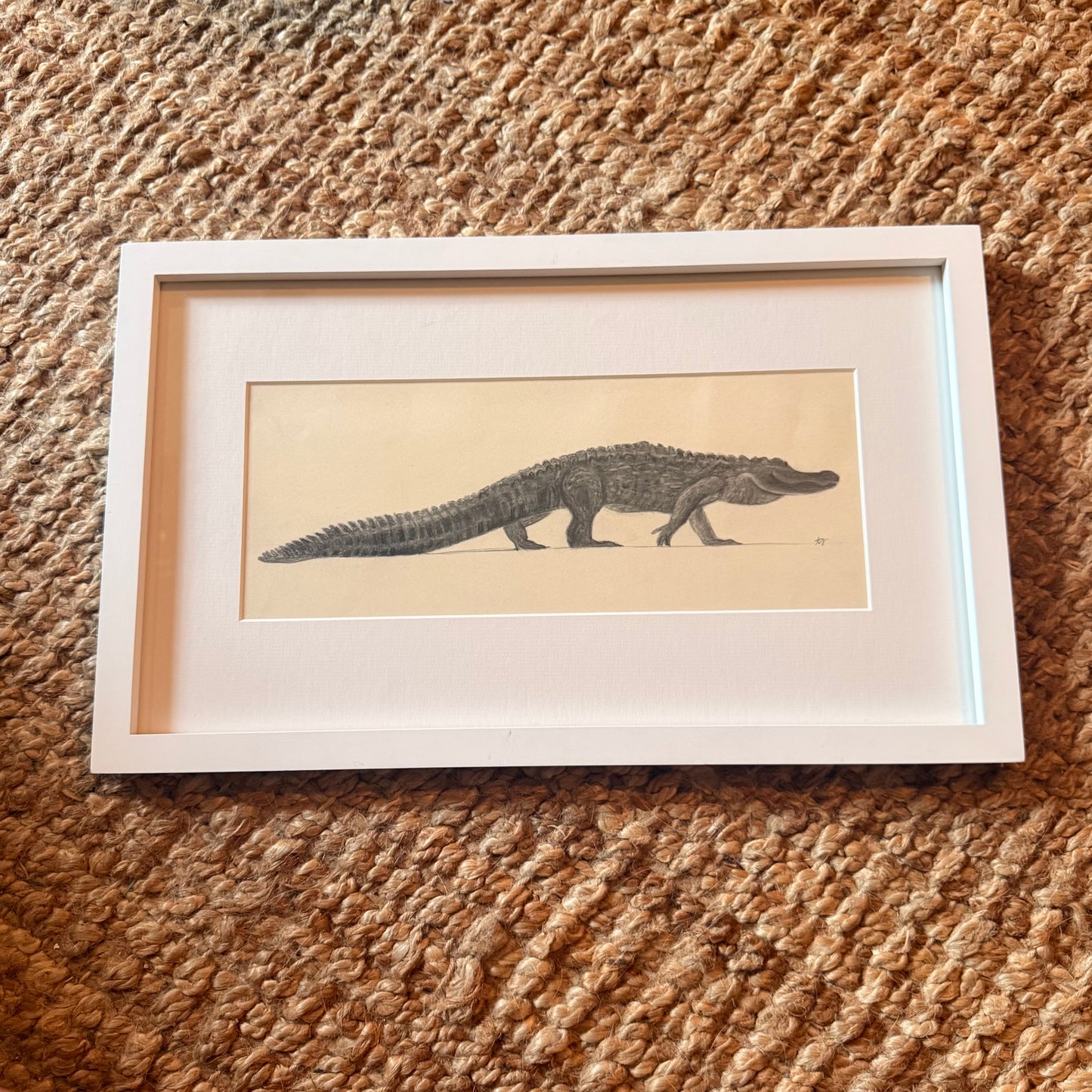 alligator [original sketch]
