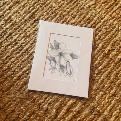 magnolia ·  print