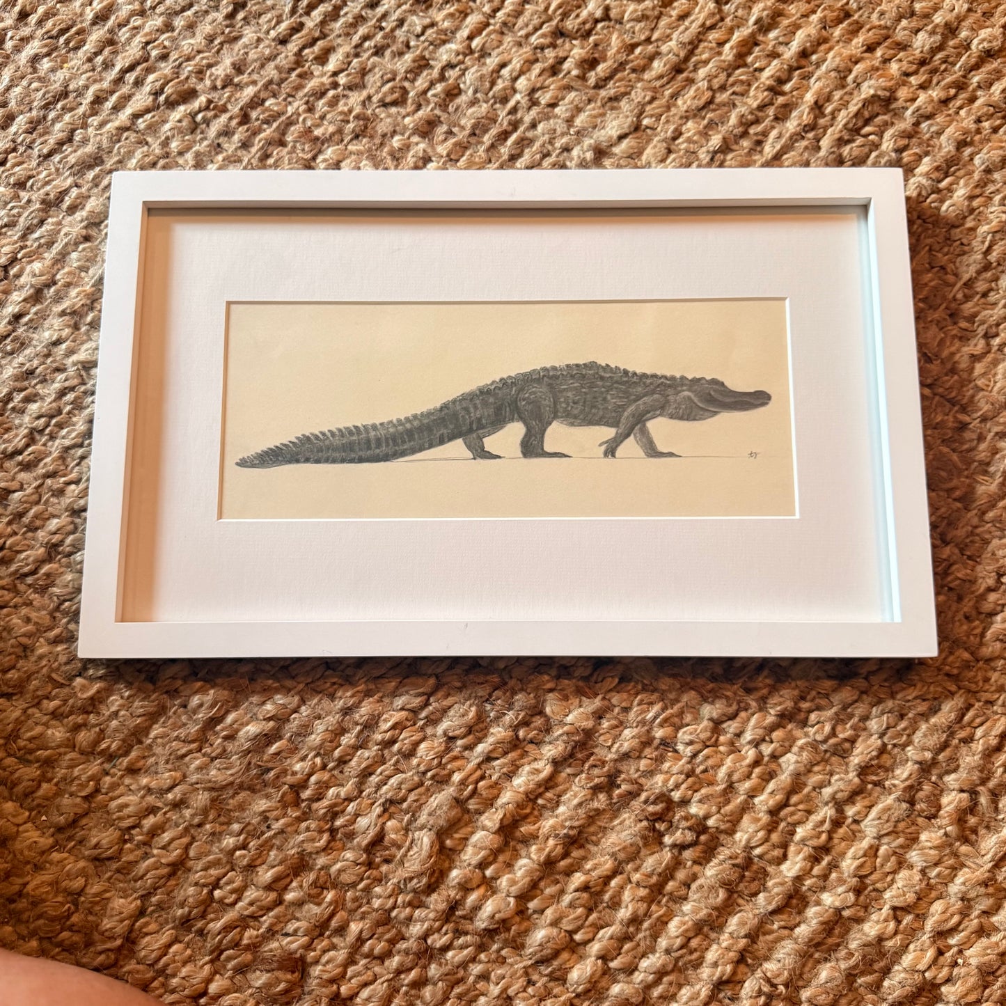 alligator [original sketch]