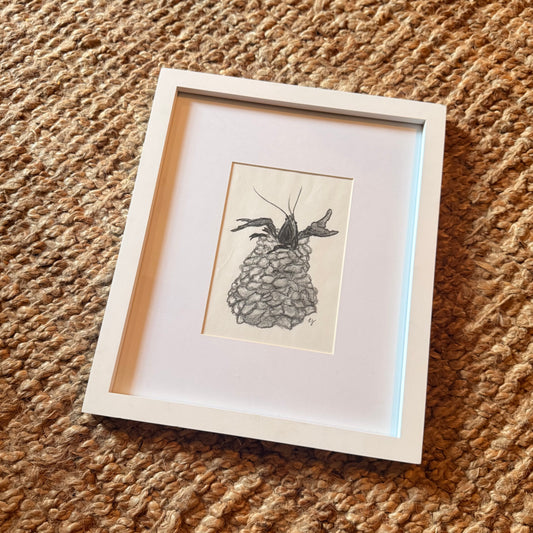 mudbug [original sketch]