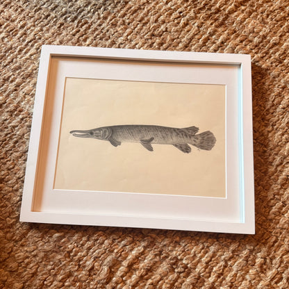 gar [original sketch]