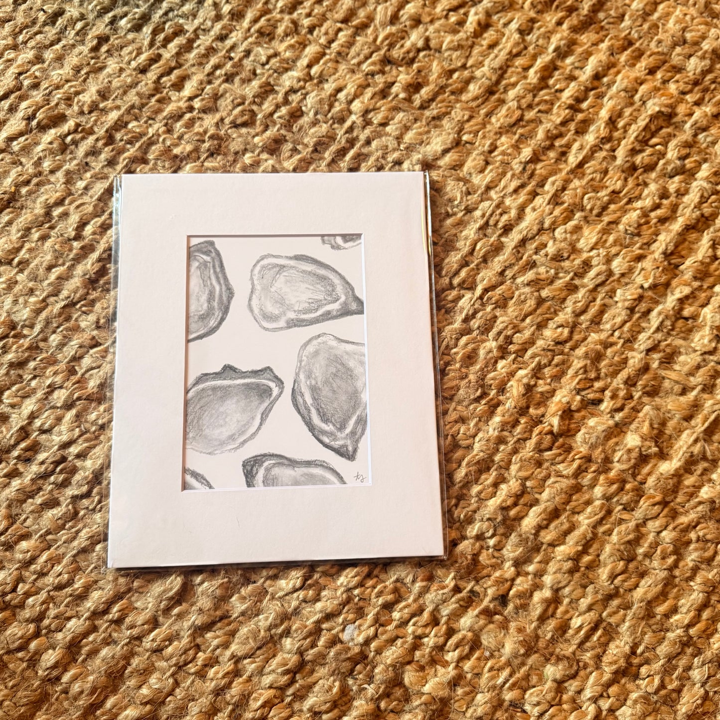 oyster ·  print