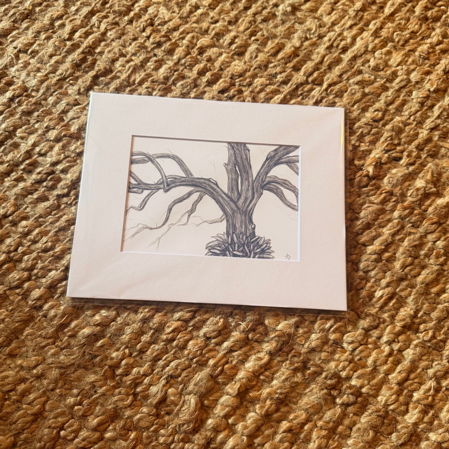 live oak no. 2  ·  print