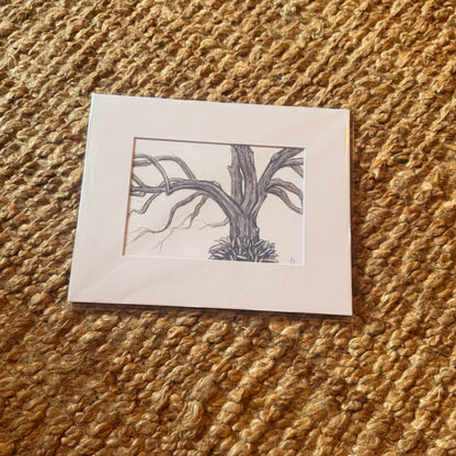 live oak no. 2  ·  print