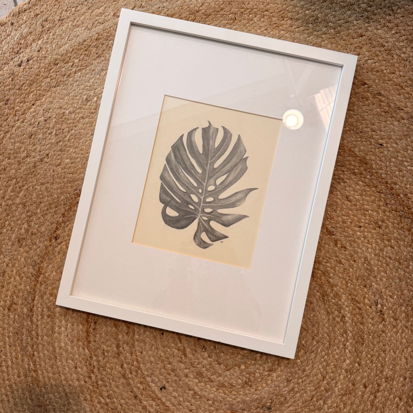 monstera [original sketch]