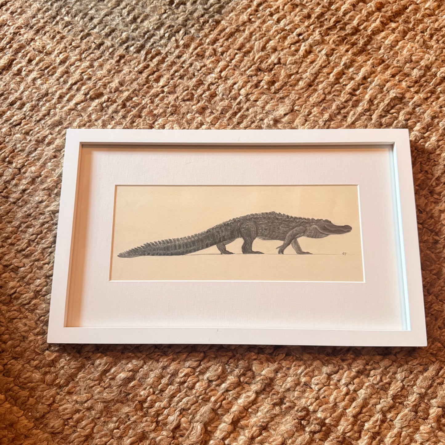 alligator [original sketch]