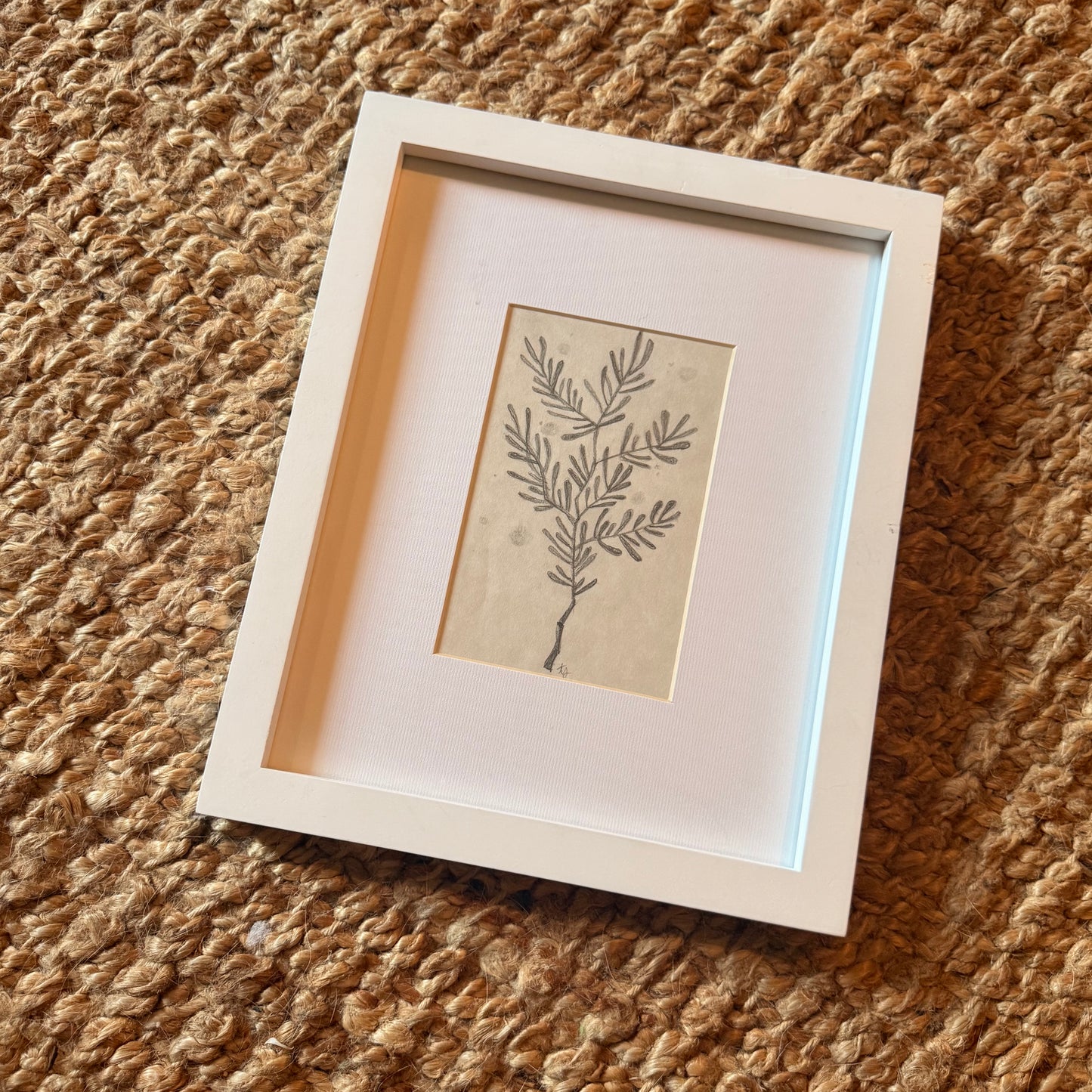 botanical sprig [original sketch]