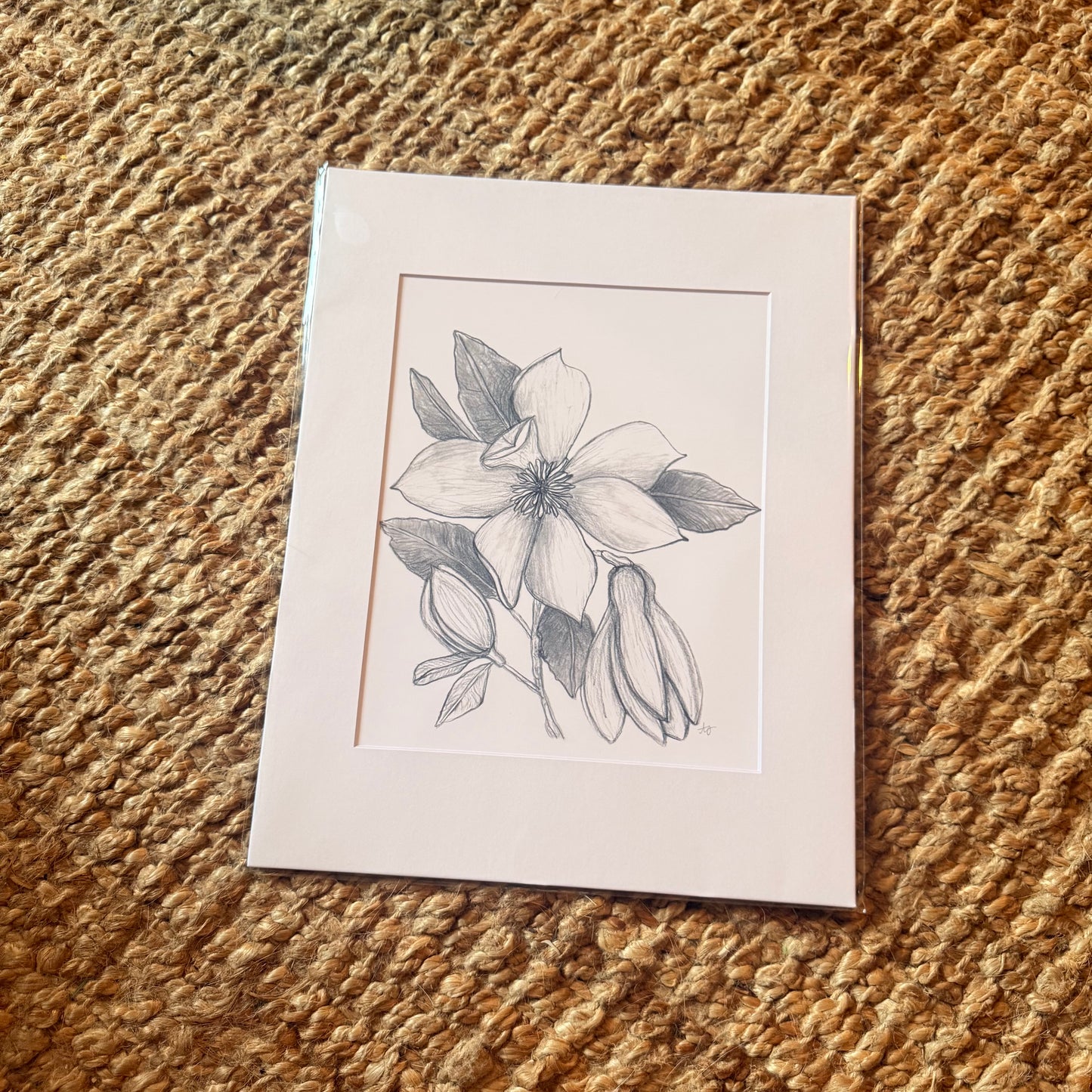 magnolia ·  print