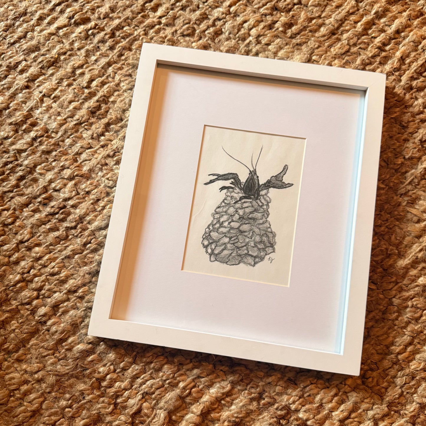 mudbug [original sketch]
