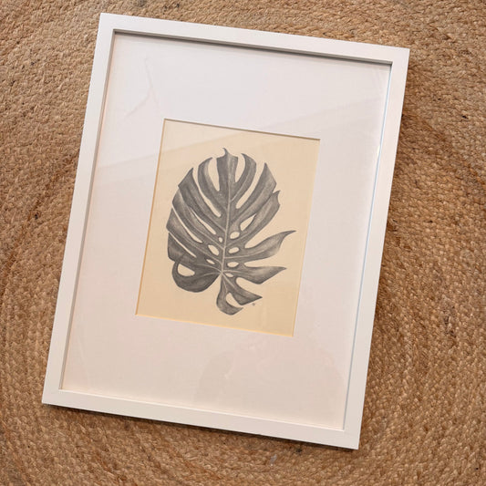 monstera [original sketch]