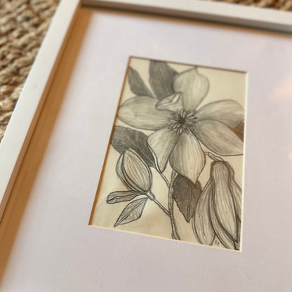 magnolia [original sketch]