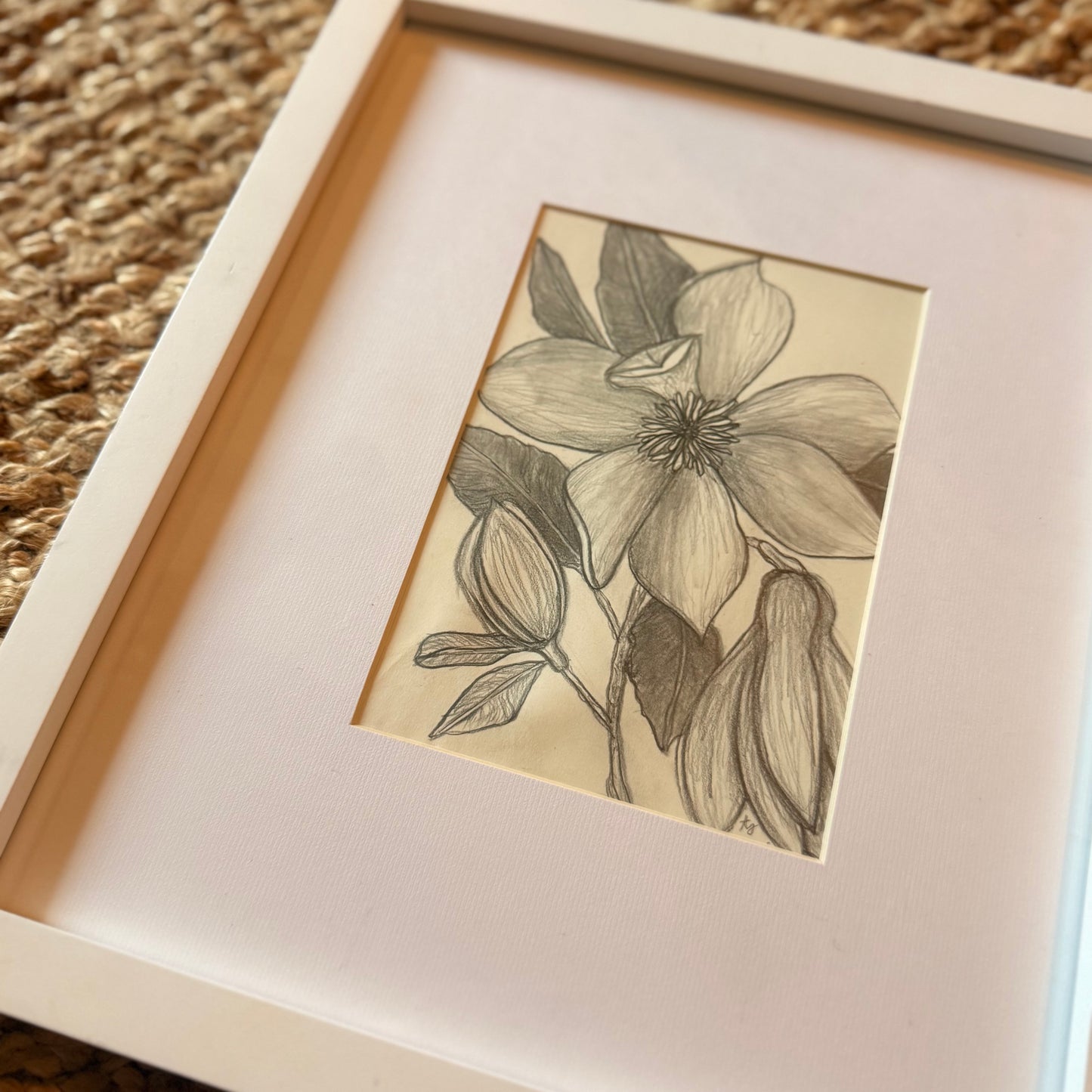 magnolia [original sketch]