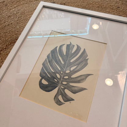 monstera [original sketch]