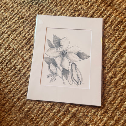 magnolia ·  print