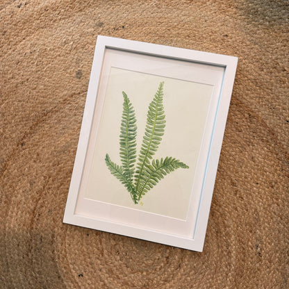 fern no 2 [original sketch]