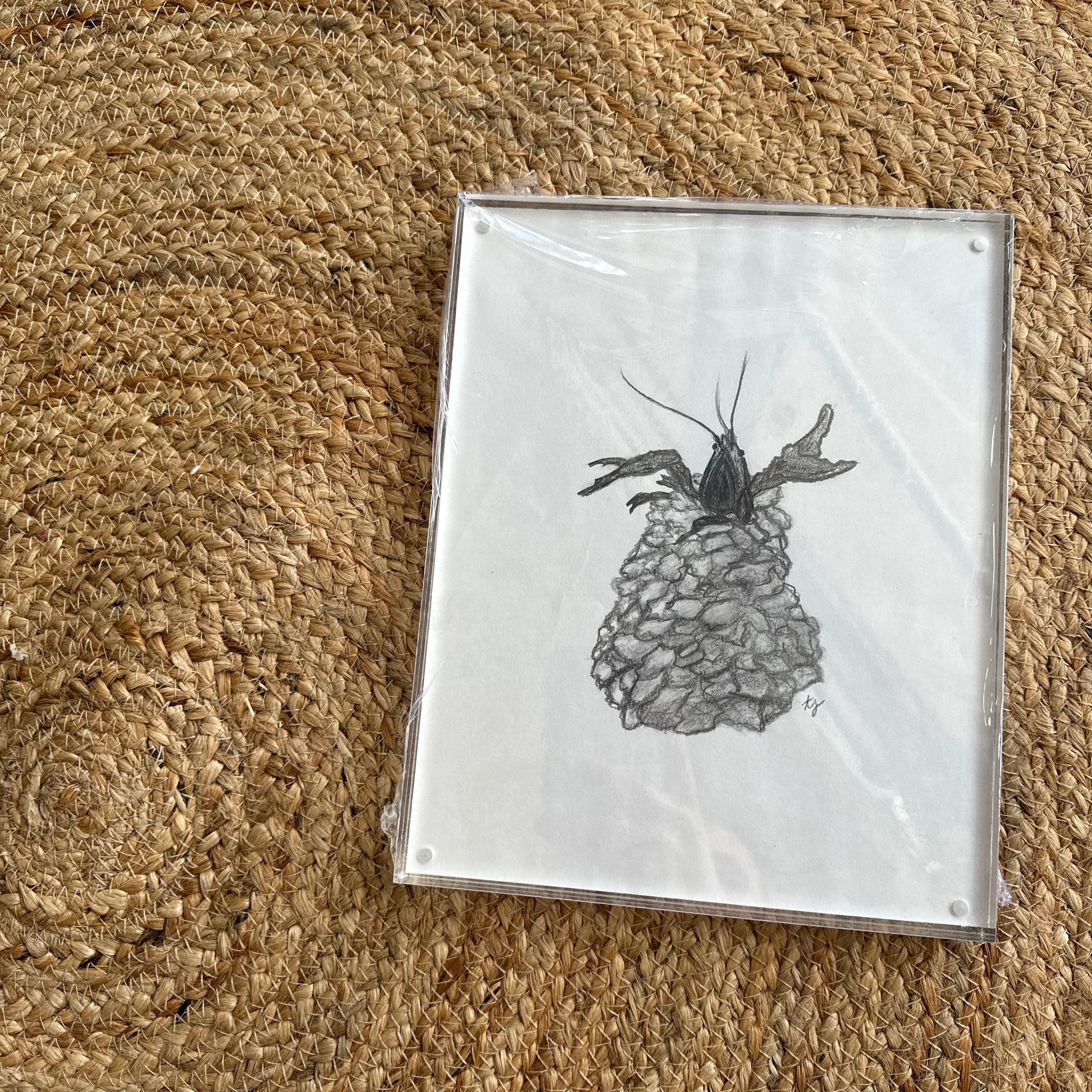 cajun creatures – Southern Sketch