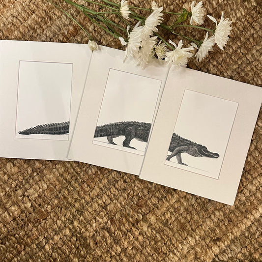 gator trio  ·  print