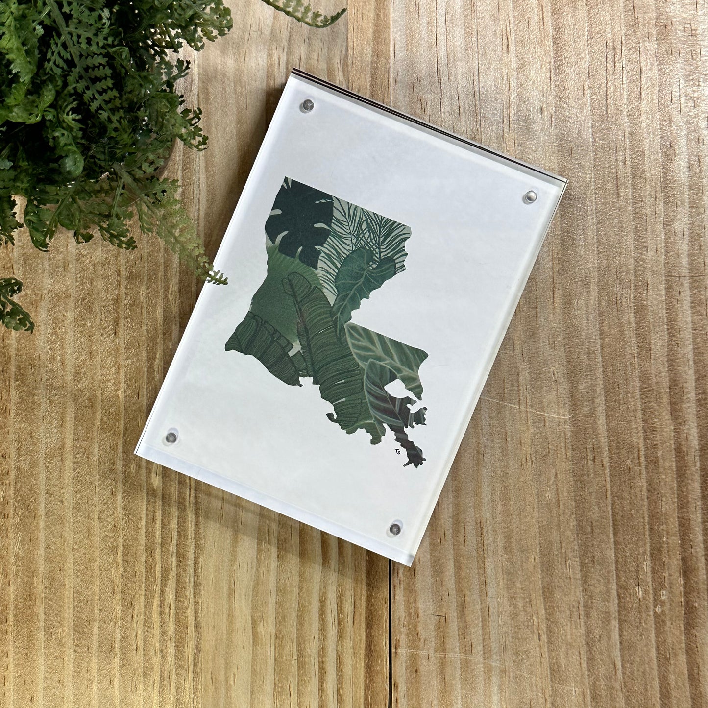 geaux green  · framed print