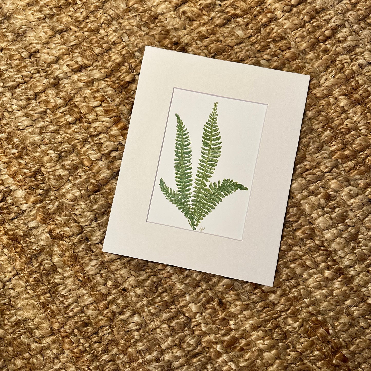 fern no 2  ·  print