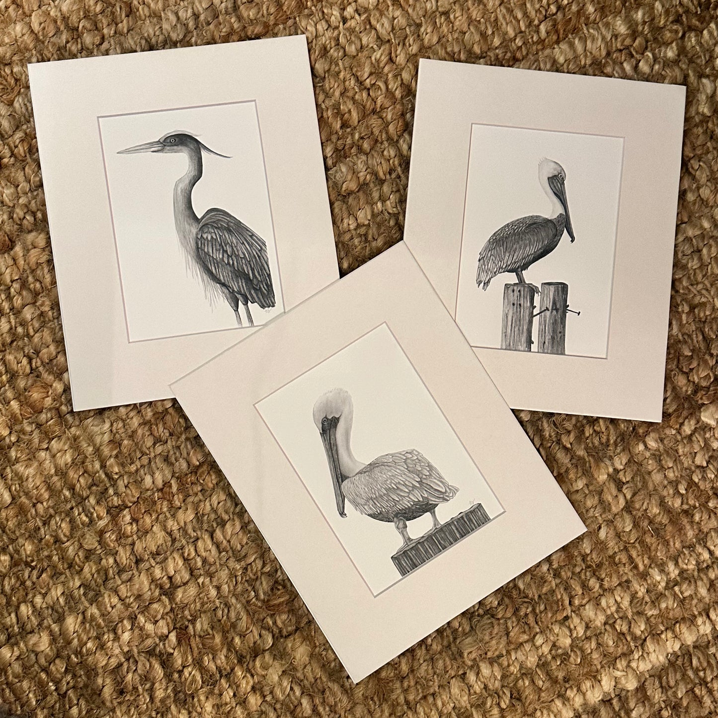 pelican no 1  ·  print