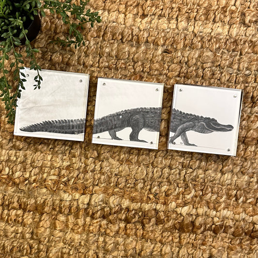 gator trio  · framed print