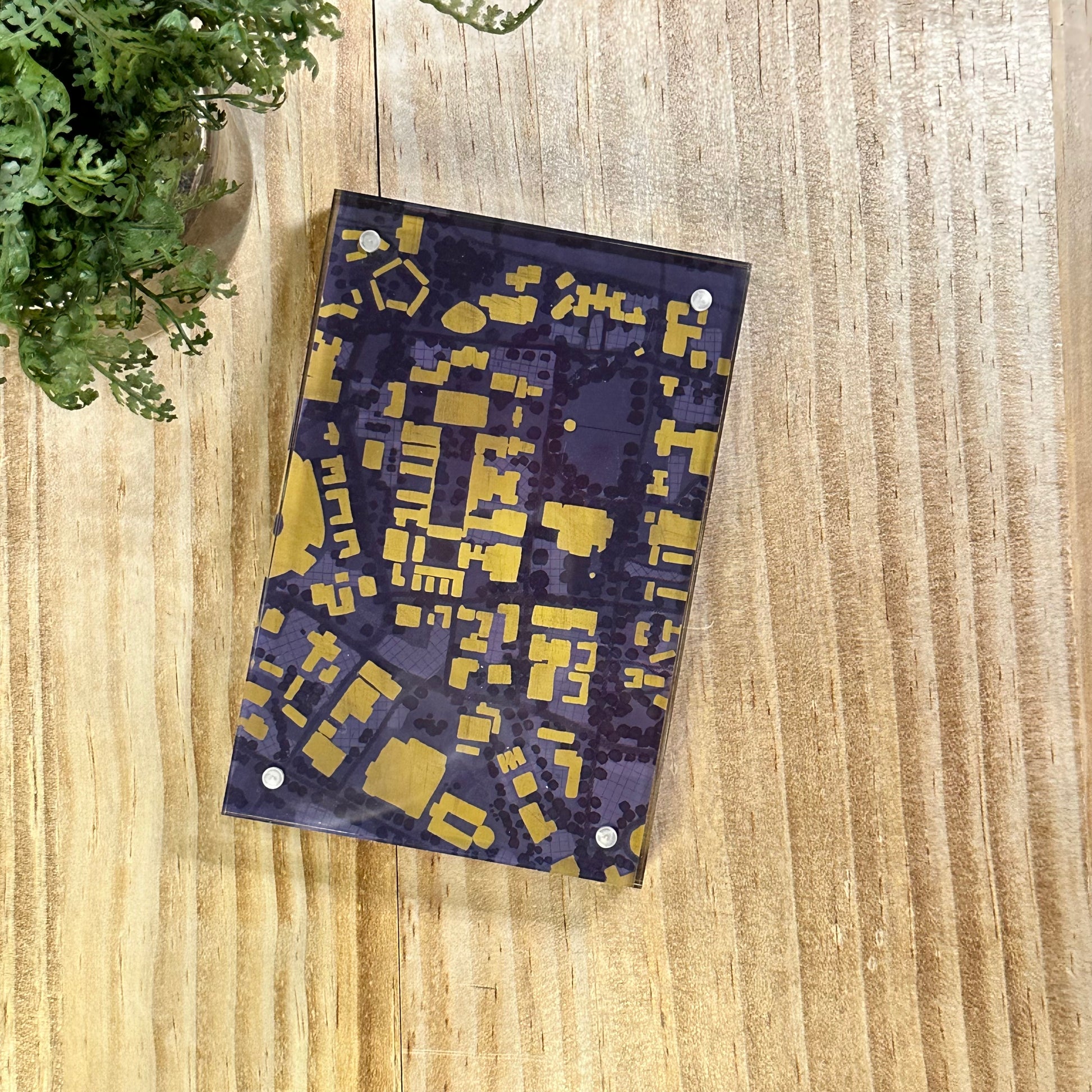 lsu campus map acrylic frame Southern Sketch