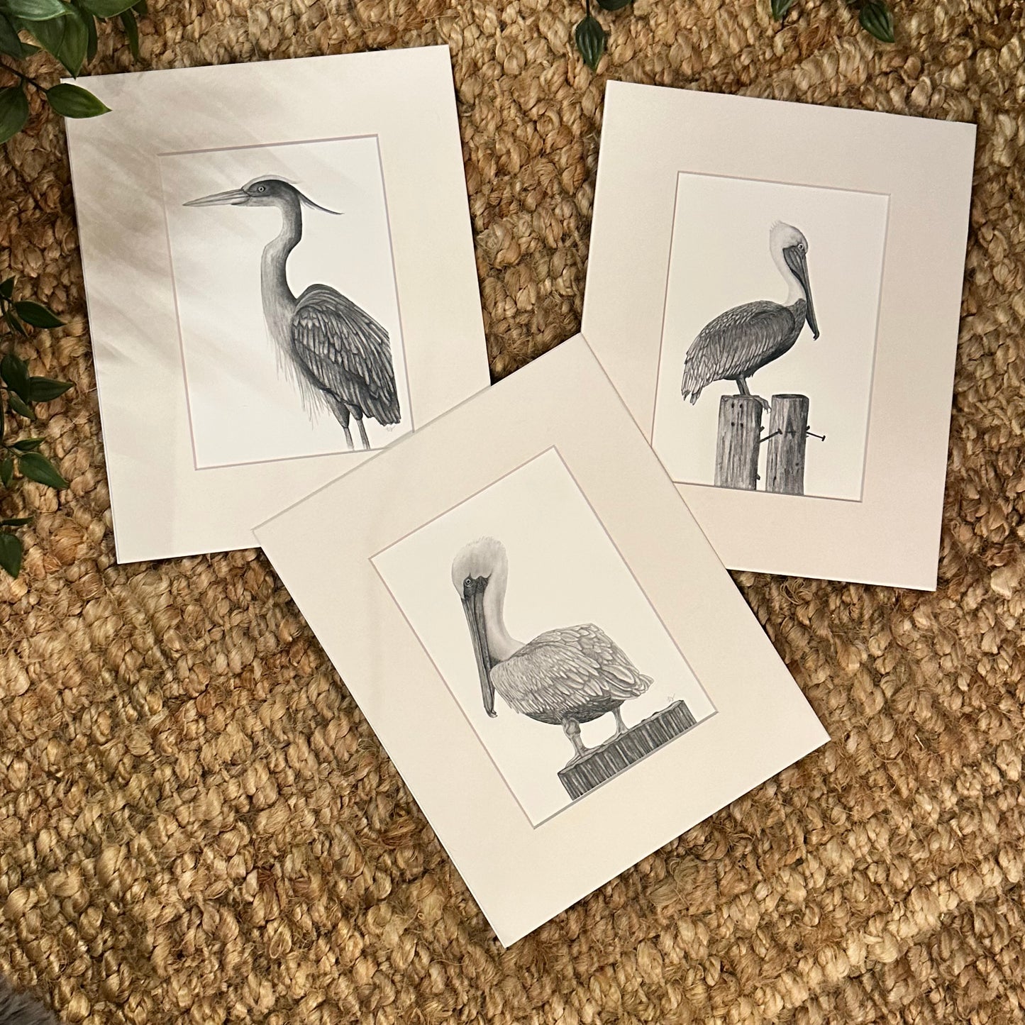 pelican no 2  ·  print