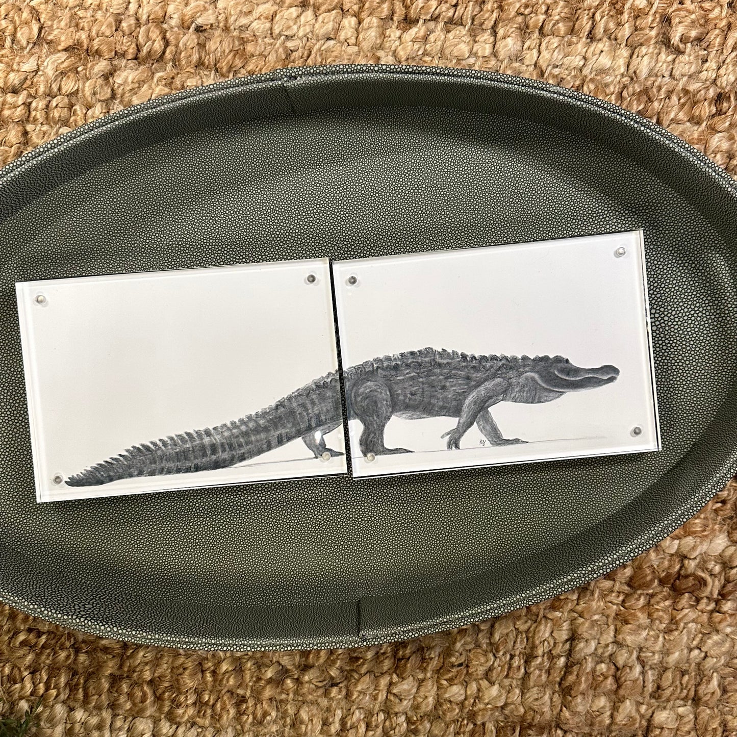 gator trio [acrylic frame]