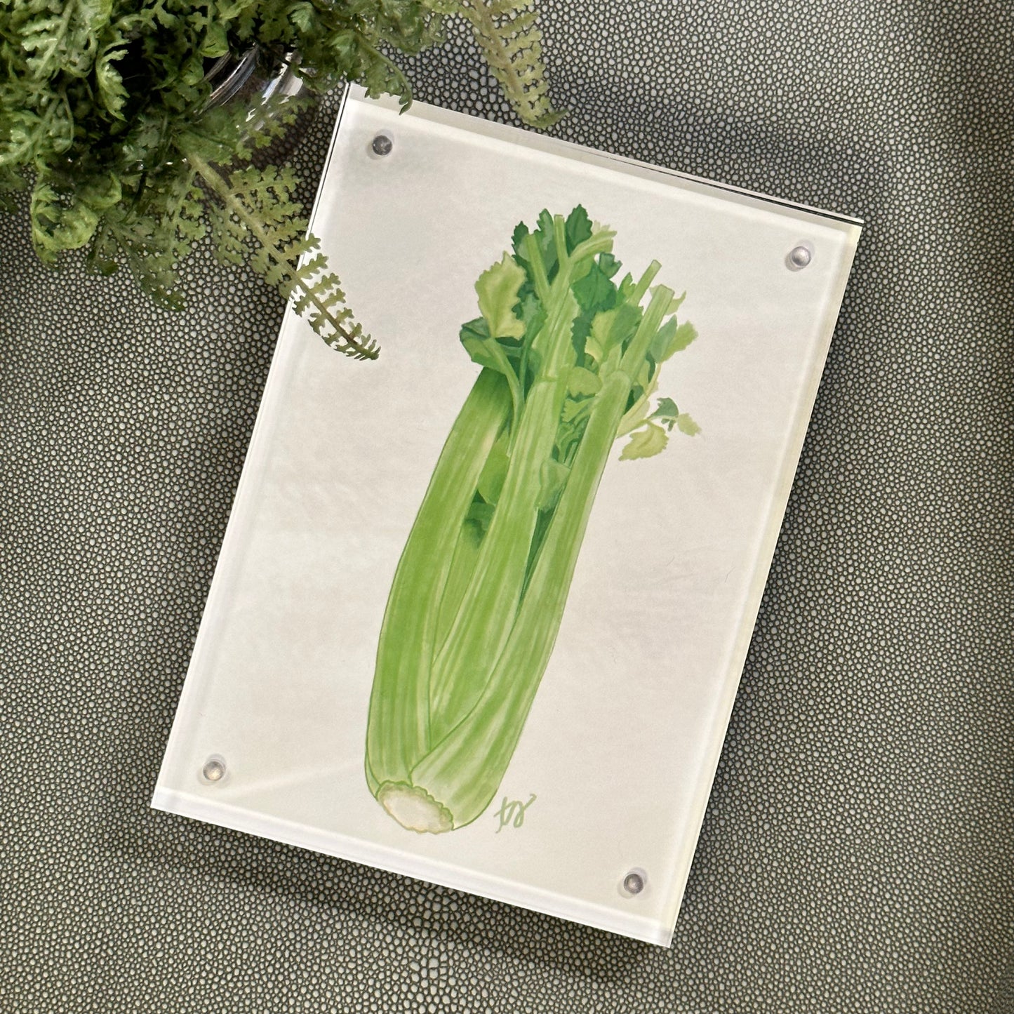 cajun trinity celery  · framed print