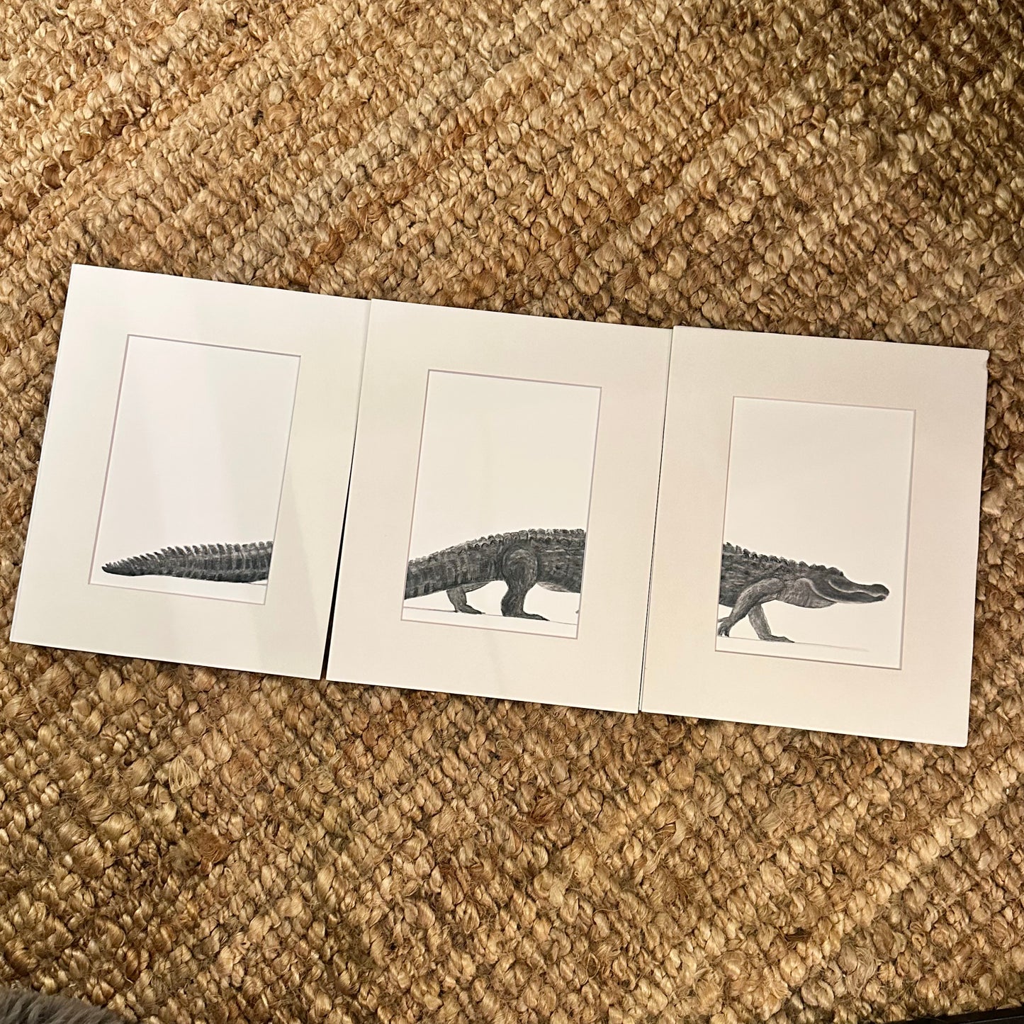 gator trio  ·  print