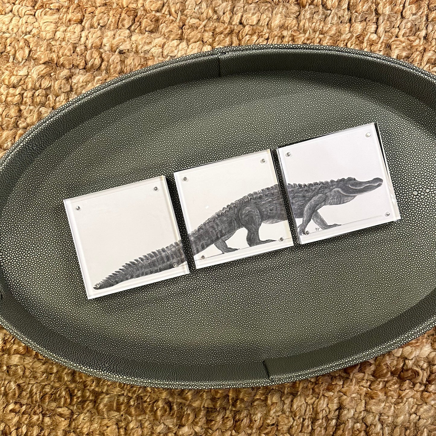 gator trio [acrylic frame]