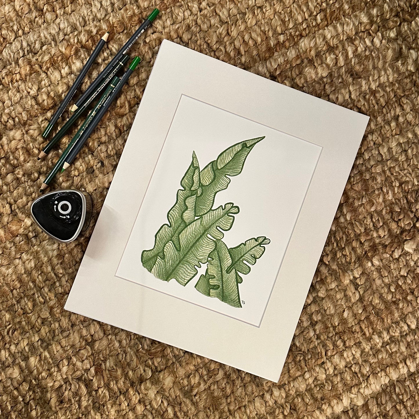 fern no 1  ·  print